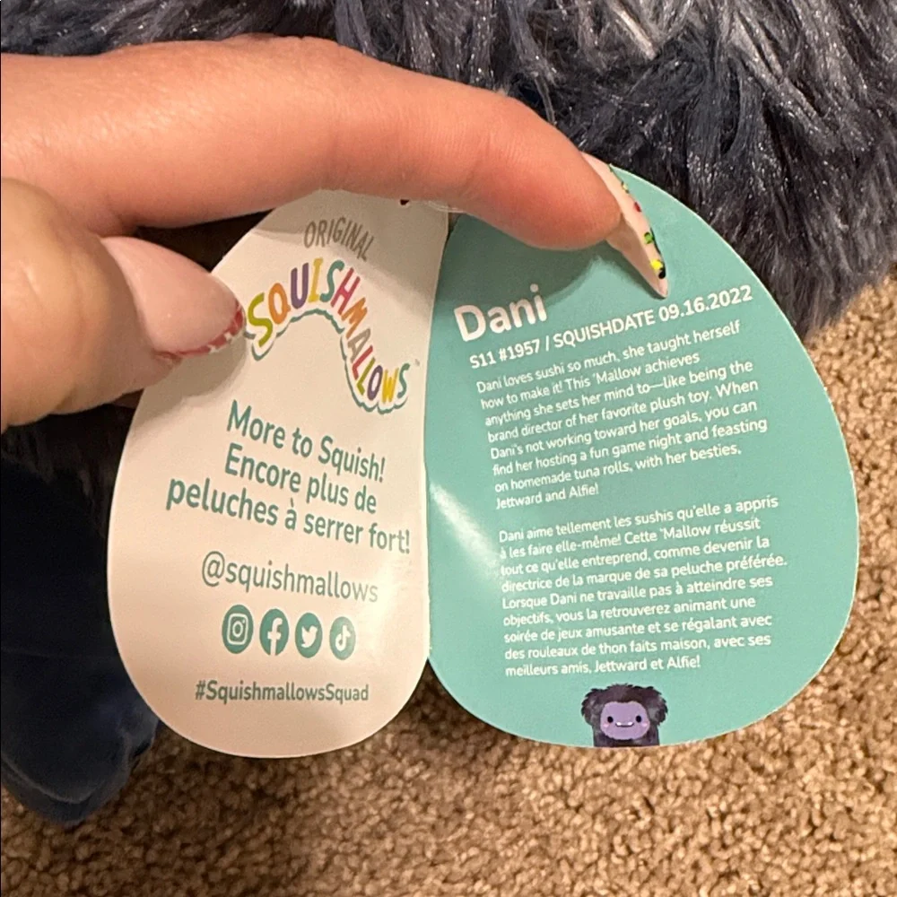 Dani Bigfoot Squishmallow